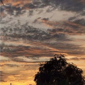 Meet your Posher, Alison